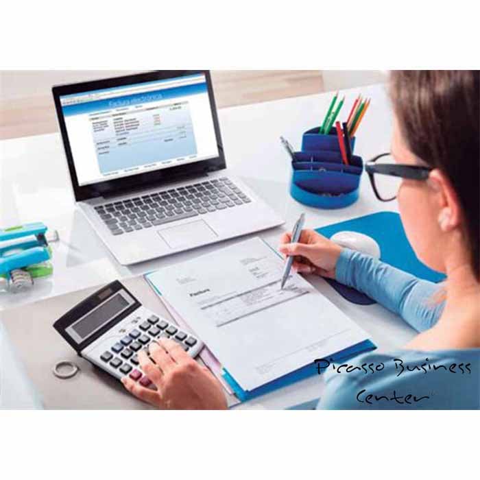 Online accounting advice for companies and self-employed people